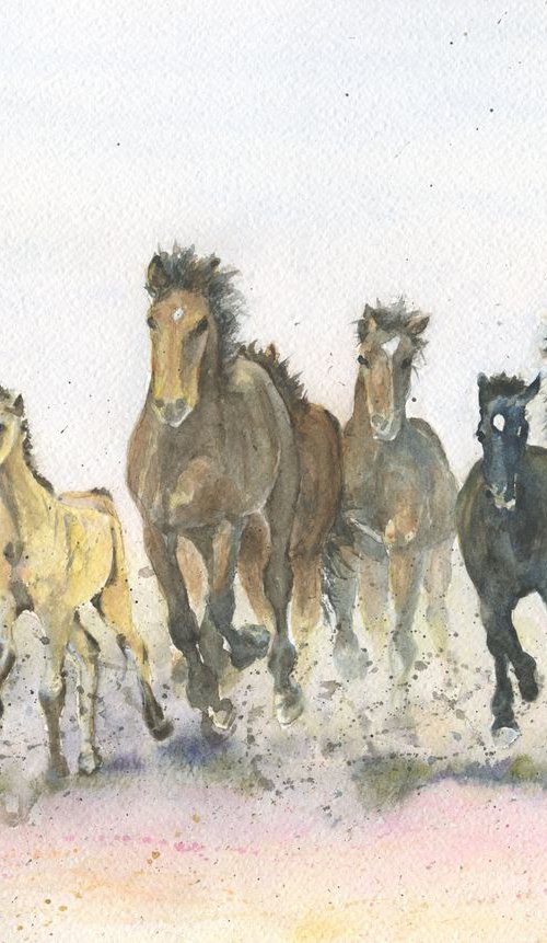 Horse Power by Jenny Alsop