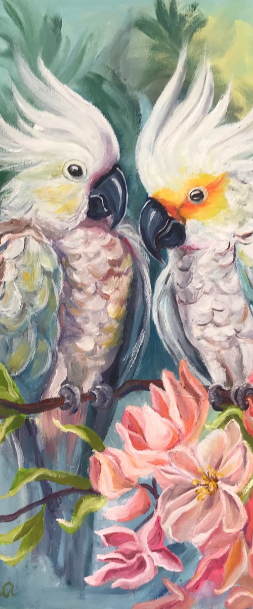 White parrots by Olga Volna