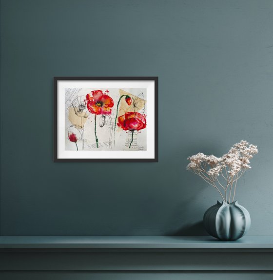 Poppy Flower Collage