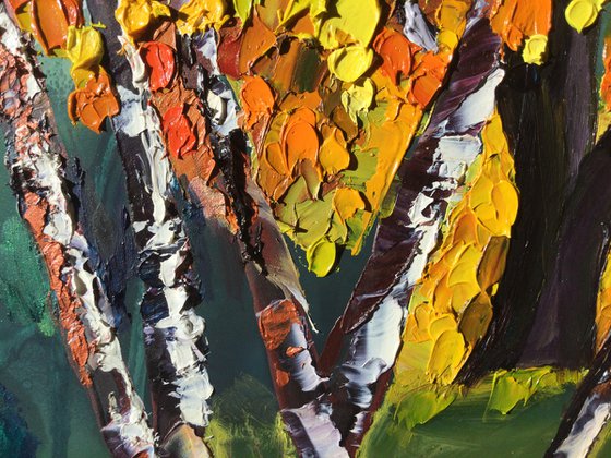 Birch Canopy