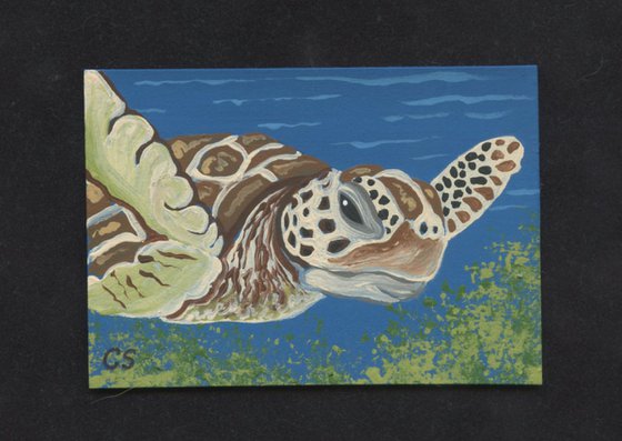 ACEO ATC Original Miniature Painting Sea Turtle Marine Wildlife Art-Carla Smale