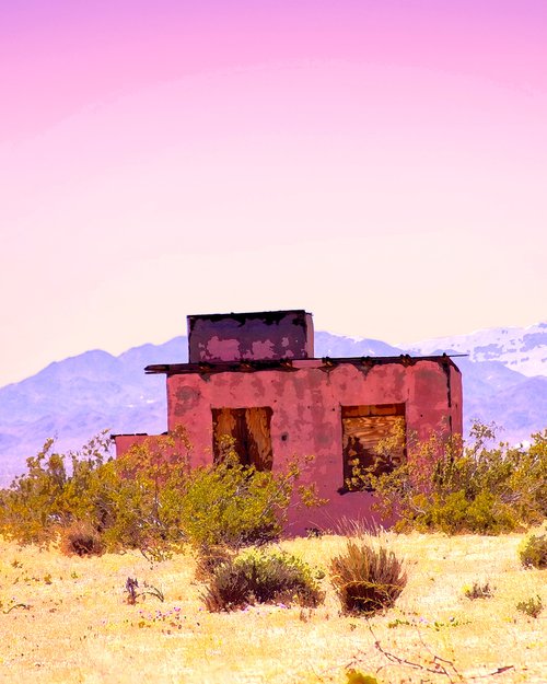 HOMESTEAD HEARTACHE Desert Hot Springs CA by William Dey