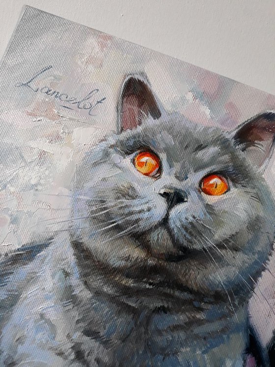 Cat portrait Lancelot