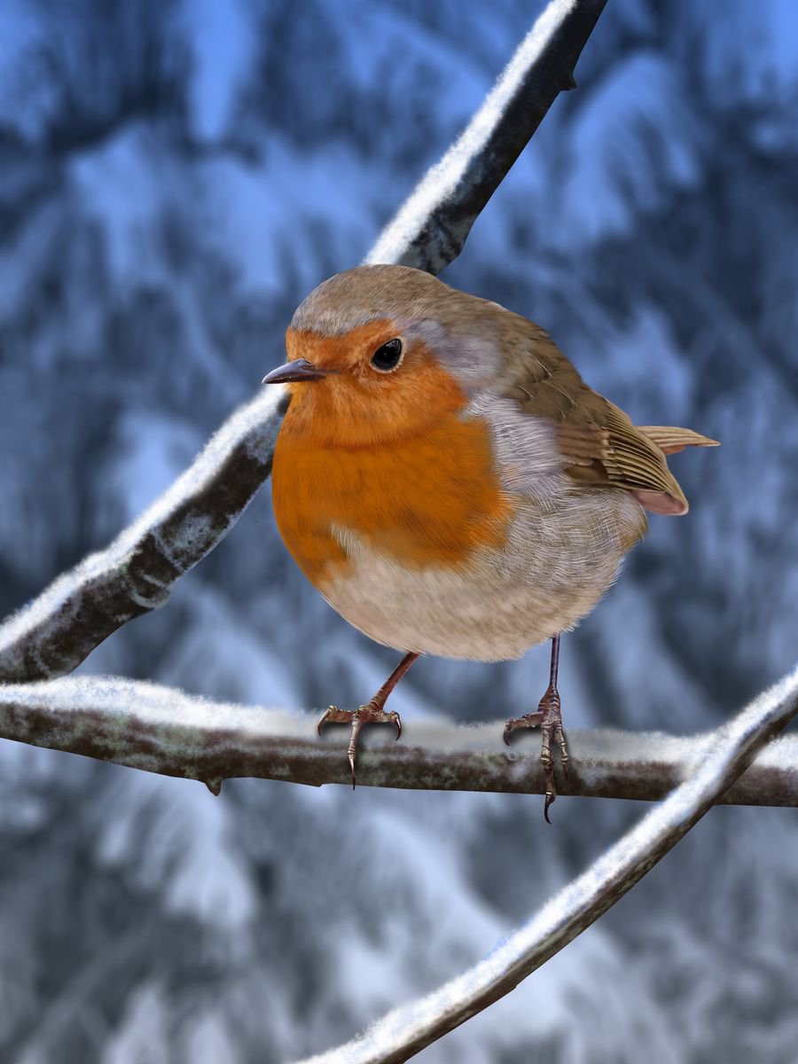 Winter Robin by Nigel Follett