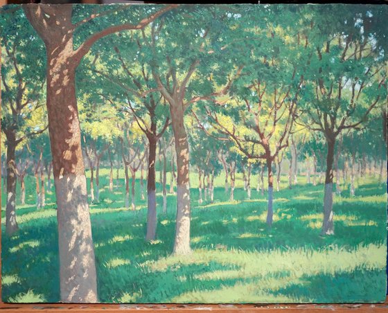 Noonlight in the Woods