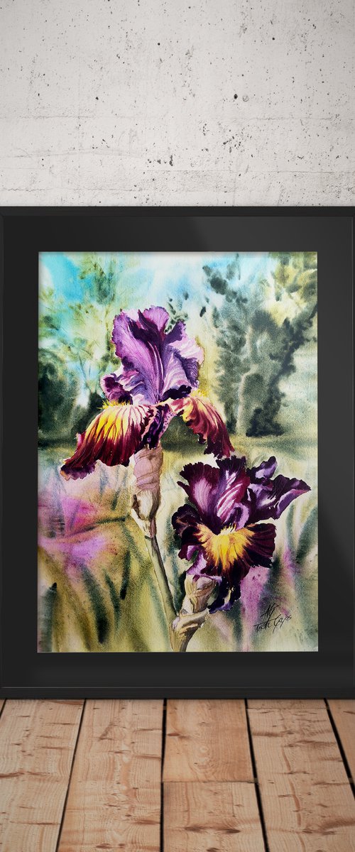 Two Purple Irises by Aneta Gajos