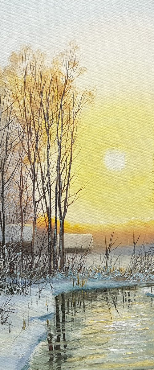 Sunny Day by Vladimir Jarmolo