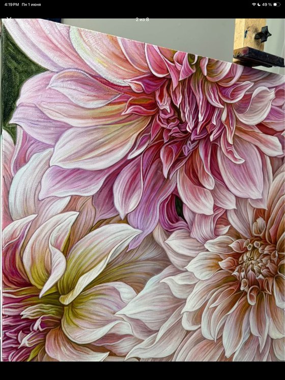 Soft Symphony of Dahlias