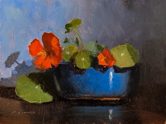 Nasturtiums