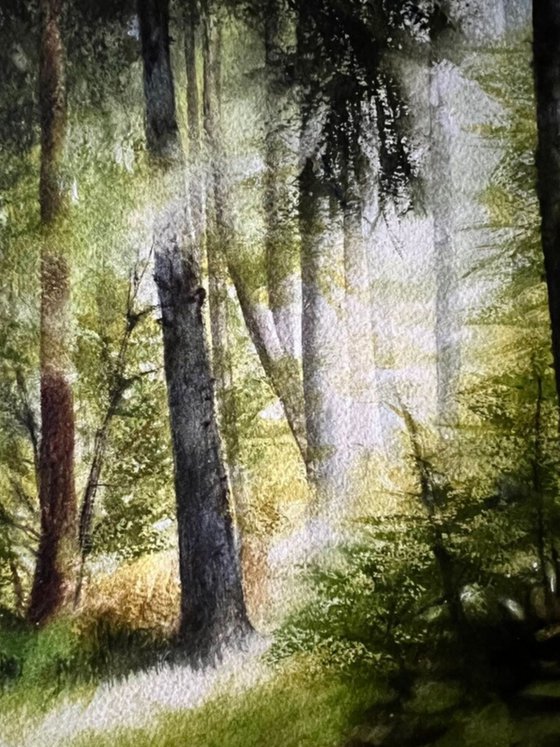 Forest Clearing