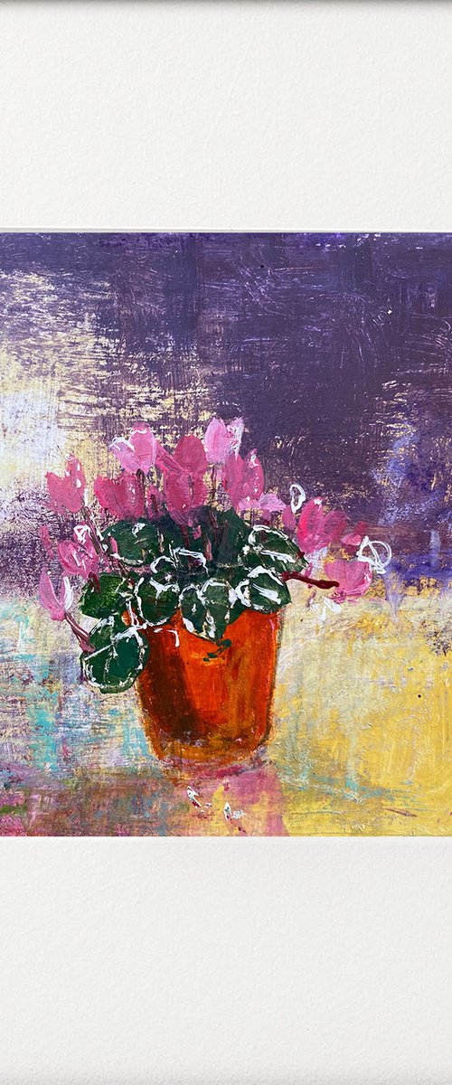 Cyclamen in Flower pot pink & yellow tones by Teresa Tanner