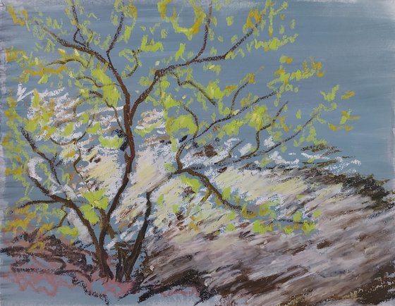 Spring oil pastel sketch "Sunbeam", 2024
