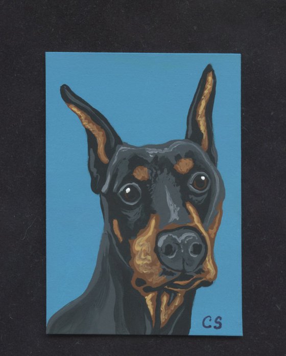 ACEO ATC Original Miniature Painting Doberman Pet Dog Art-Carla Smale