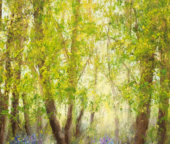 Bluebell forest