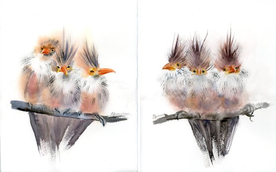Trio Of Crested Birds - Diptych