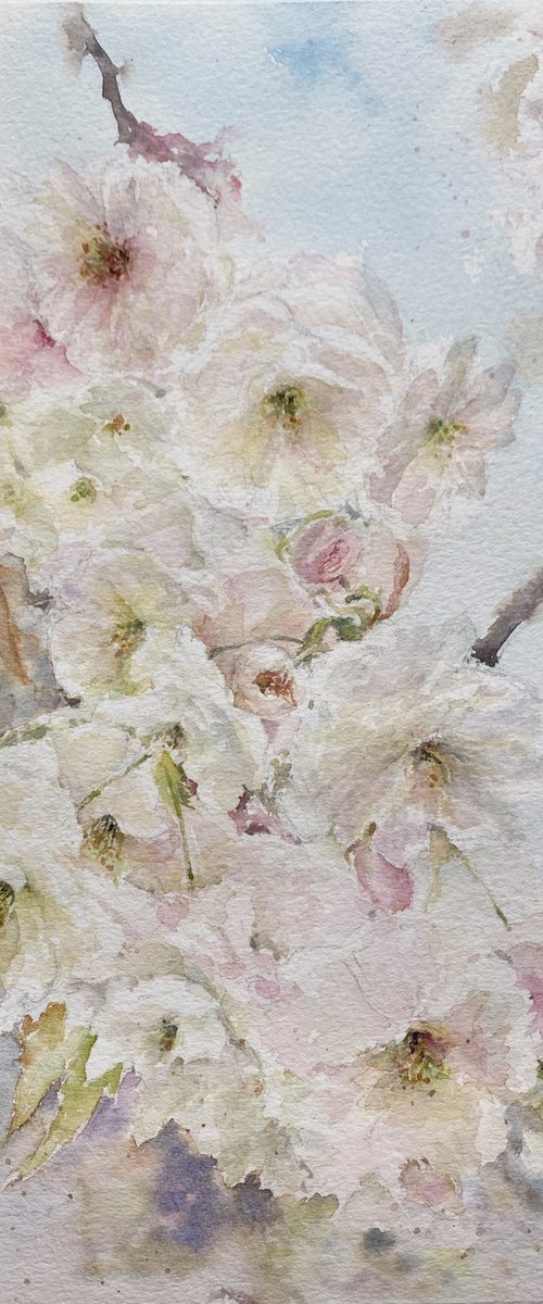 Blossoming by Leyla Kamliya