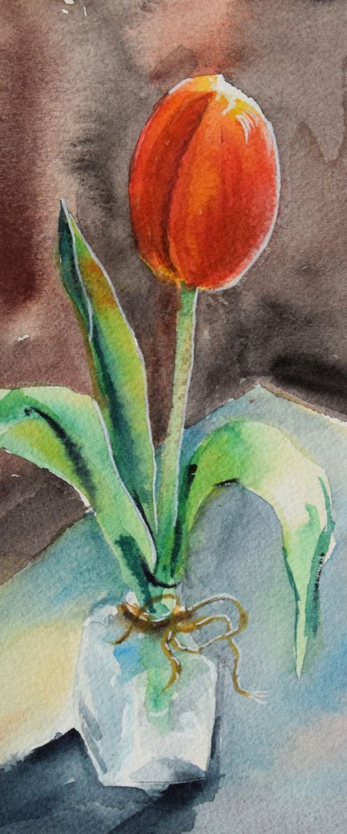 Flower tulip original watercolor painting, Mother's Day gift, botanical still life by Kate Grishakova