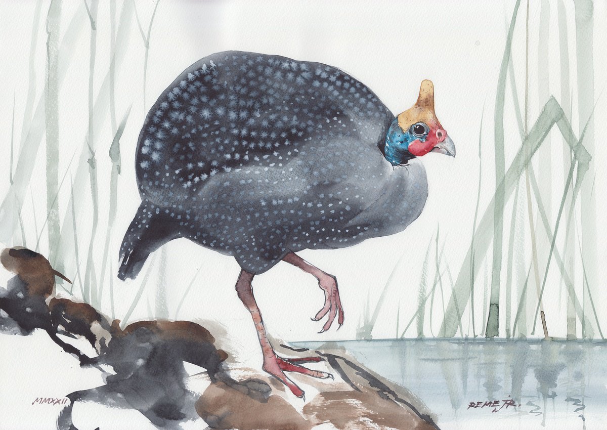Helmeted guineafowl by REME Jr.