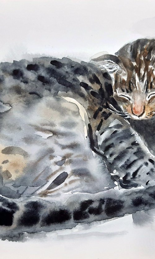 Kumudamini The Tabby cat by Asha Shenoy