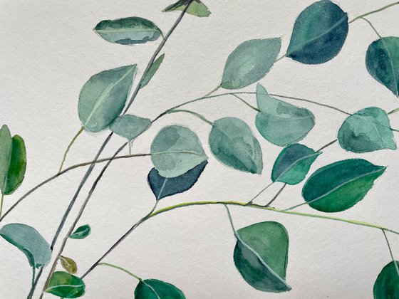 Eucalyptus Original Painting, Botanical Watercolor Artwork, Green Leaves Wall Art, Plant Illustration