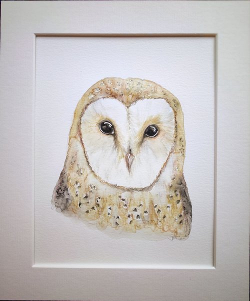 Barn owl by Jenny Moran