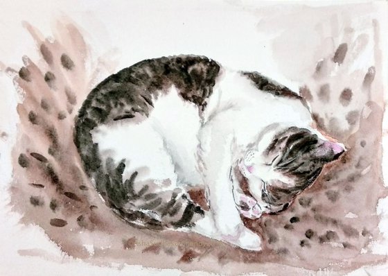 The Sleeping cat