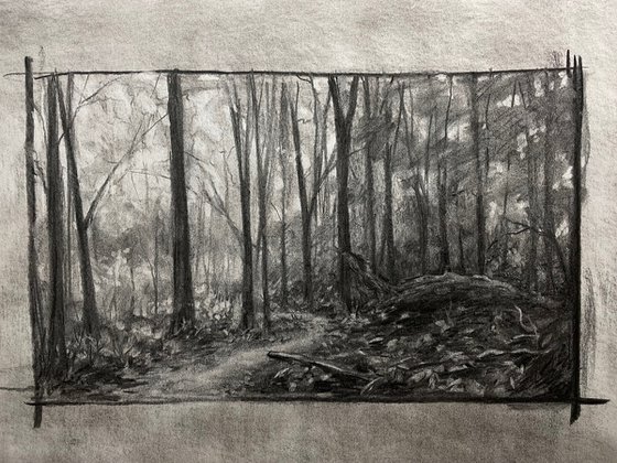 Baxter's Hollow woods – charcoal drawing