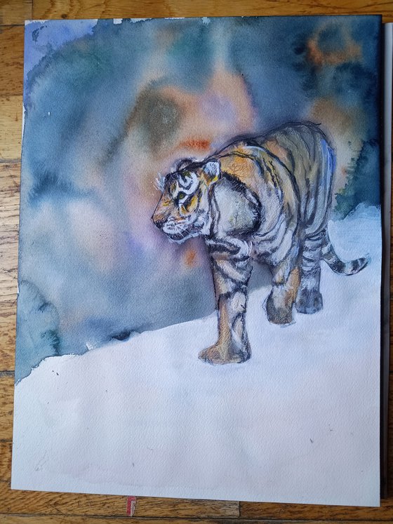 Tiger