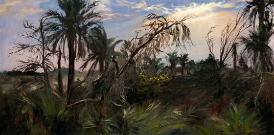Friday Sunrise