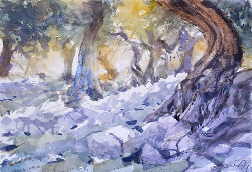 In the Olive  grove 21 by Goran Žigolić Watercolors