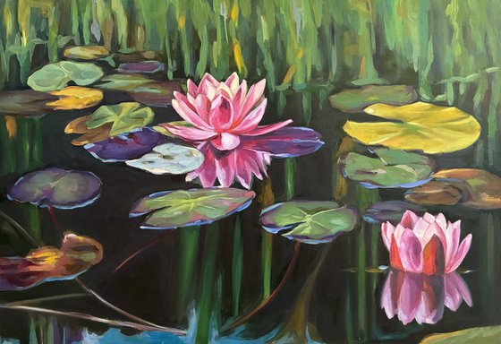 Colorful pond.Water lilies