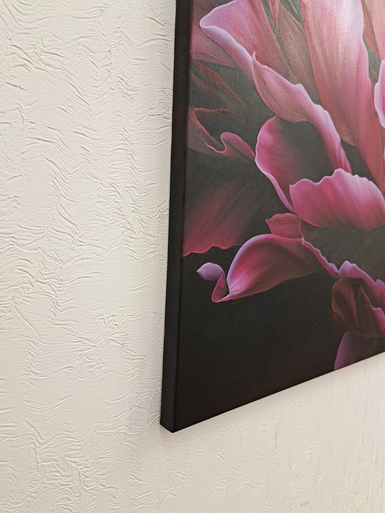 Energy of Pink Blossoming