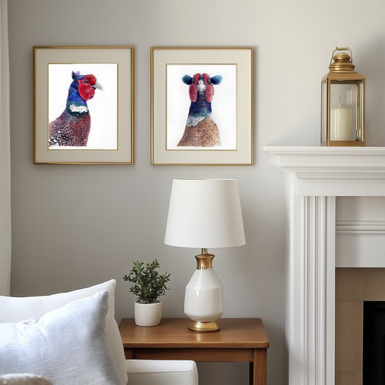 Portrait of crested pheasant