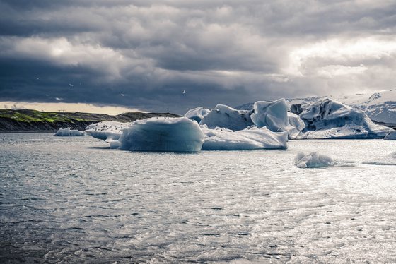 THE ICEBERGS