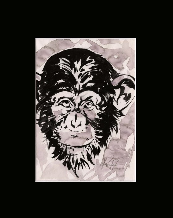 Chimpanzee Collection