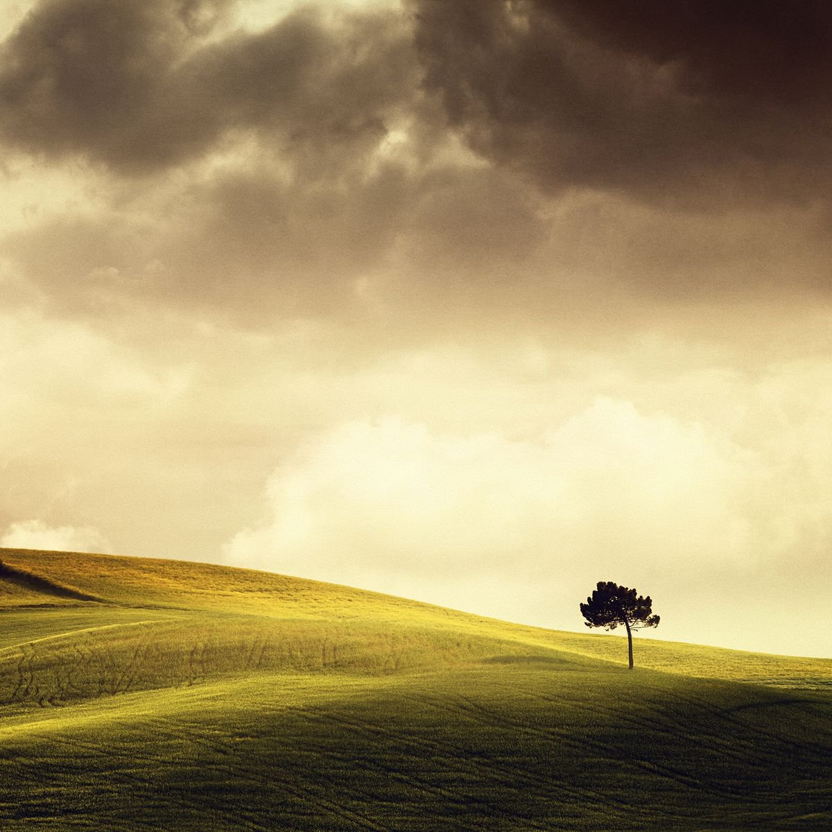 Photorealistic Landscape Photograph By Peter Zelei, 39 X 39", Tuscany Vibes, Original Artwork