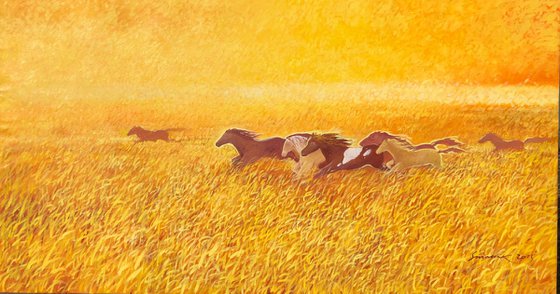 Horses chasing the sun