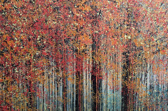 Autumn Trees At The Forest Edge