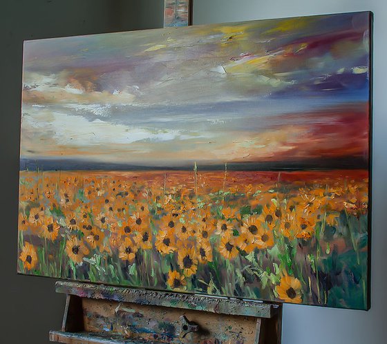 'Sunflower field after storm'