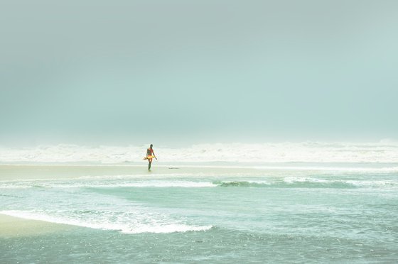 The Lifeguard