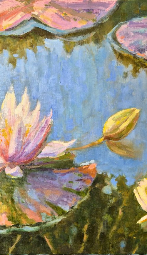 Water lily pond by Tatiana Kyriakidou