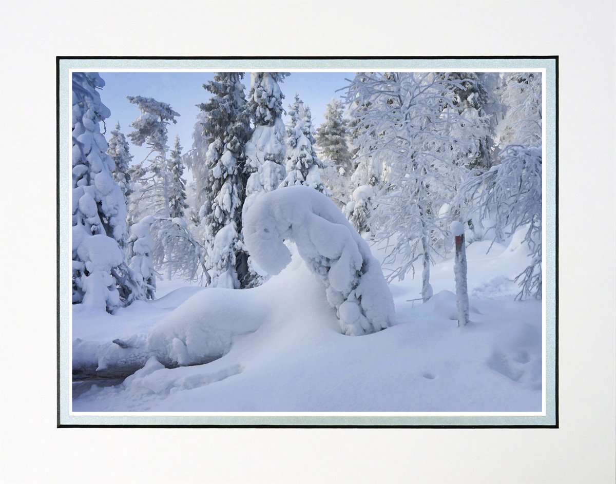 Photorealistic Landscape Photograph By Robin Clarke, 14 X 11", Finland Snow Forest One, Original Artwork