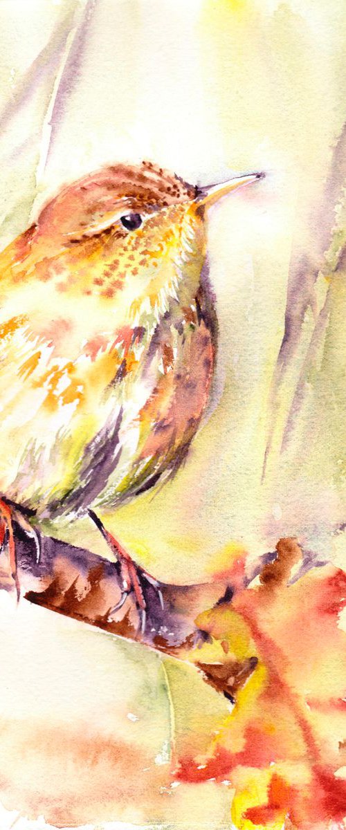 Wren by Anjana Cawdell