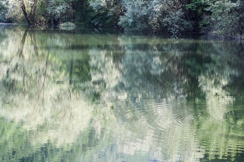 green reflections by Bruno Paolo Benedetti