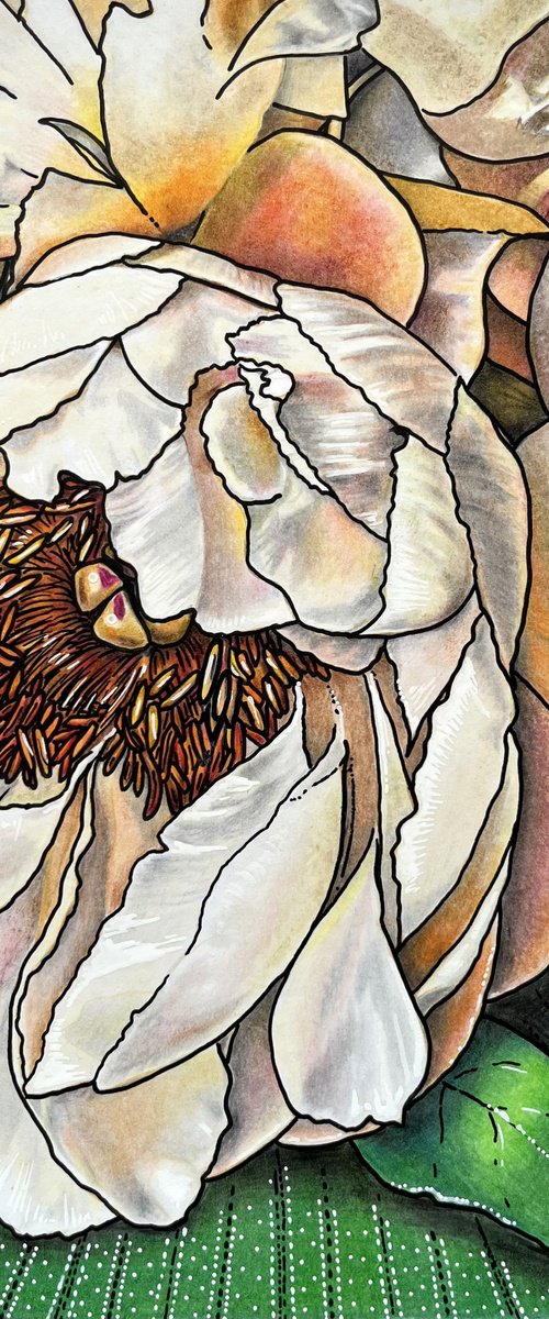 Peach Peony by Karen Elaine Evans