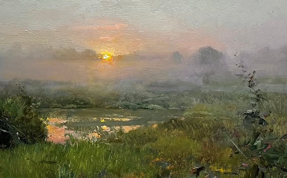 Summer dawn