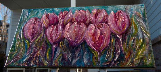 Colorful Tulips