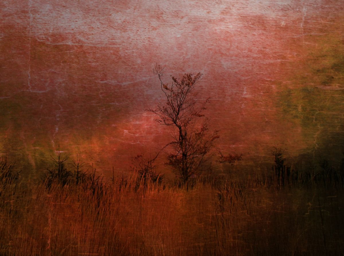 Illustrative Landscape Photograph By Srdjan Jevtic, 39 X 29", Lonely, Original Artwork