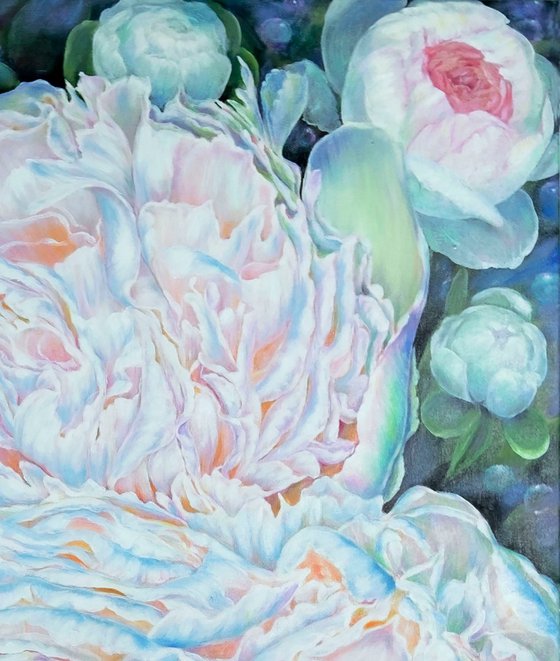 Whisper of Peonies