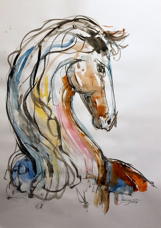 Horse 6